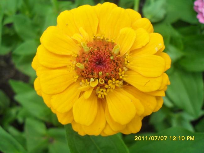 Name:  057.jpg
Views: 671
Size:  31.8 KB