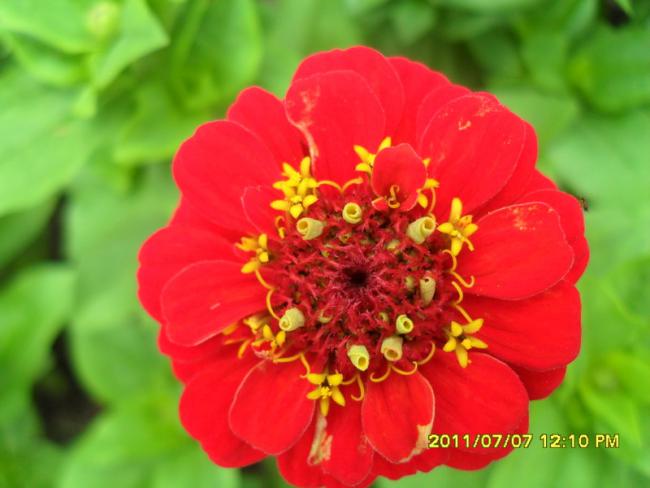 Name:  058.jpg
Views: 627
Size:  36.3 KB