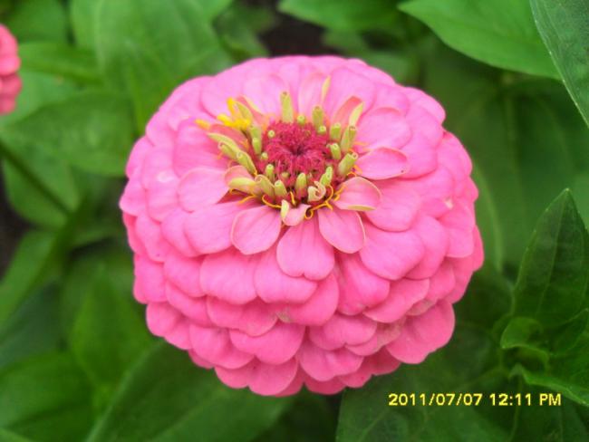Name:  059.jpg
Views: 627
Size:  33.4 KB