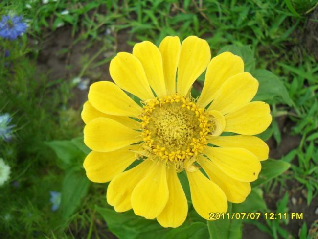 Name:  061.jpg
Views: 646
Size:  44.2 KB