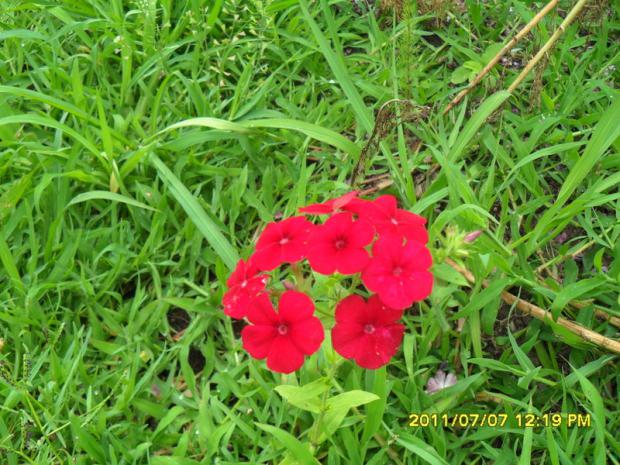 Name:  088.jpg
Views: 660
Size:  72.1 KB