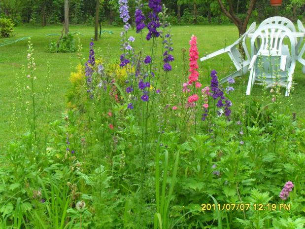 Name:  089.jpg
Views: 646
Size:  70.6 KB
