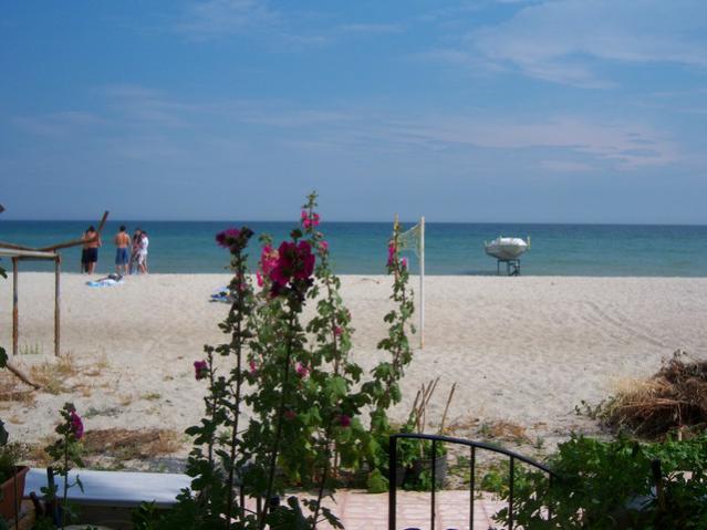 Name:  100_2130.jpg
Views: 374
Size:  41.7 KB