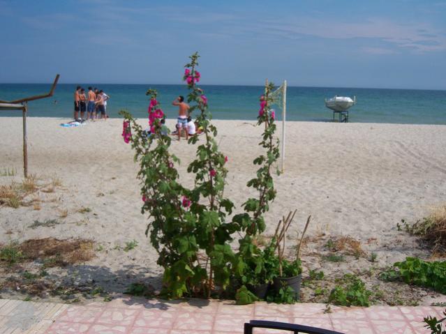 Name:  100_2131.jpg
Views: 391
Size:  49.1 KB