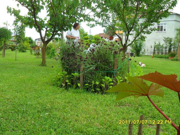 Name:  101.jpg
Views: 686
Size:  71.1 KB