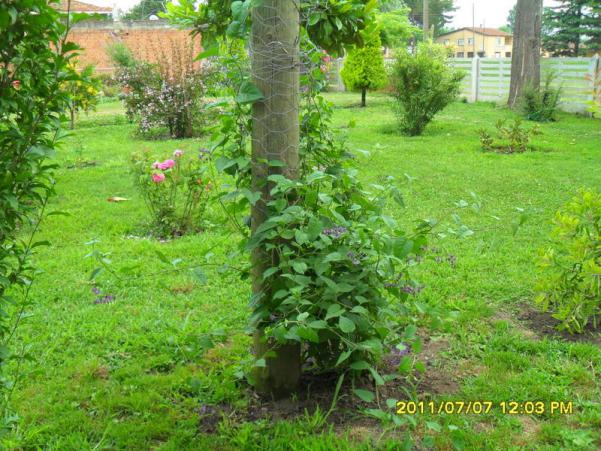 Name:  036.jpg
Views: 776
Size:  71.6 KB