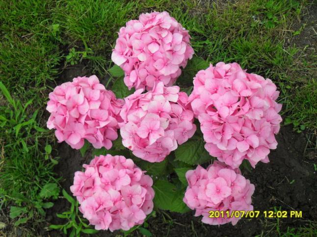 Name:  035.jpg
Views: 742
Size:  70.5 KB