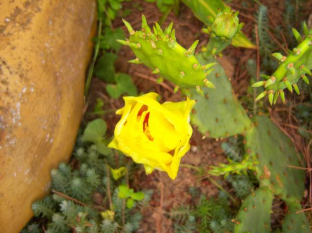Name:  100_2138.jpg
Views: 356
Size:  42.9 KB