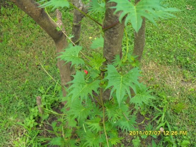 Name:  115.jpg
Views: 764
Size:  70.1 KB
