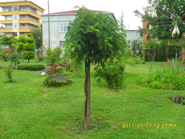 Name:  121.jpg
Views: 914
Size:  70.8 KB