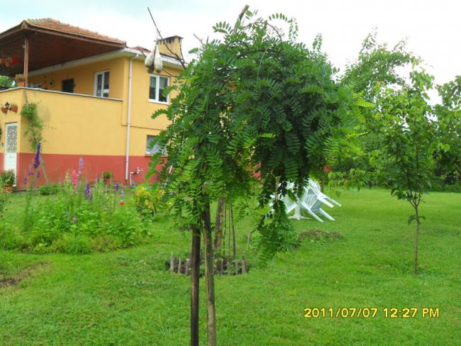 Name:  122.jpg
Views: 743
Size:  64.2 KB