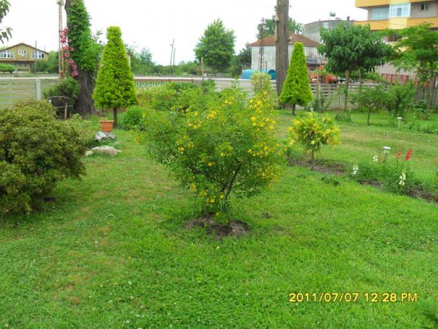 Name:  125.jpg
Views: 710
Size:  70.7 KB