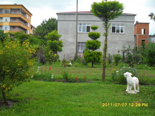 Name:  126.jpg
Views: 693
Size:  62.9 KB