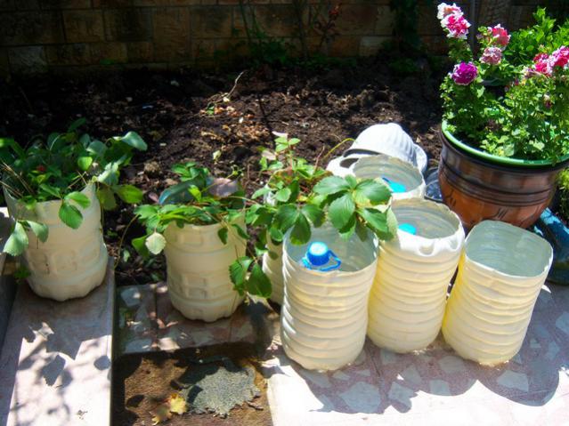 Name:  100_2151.jpg
Views: 463
Size:  59.2 KB
