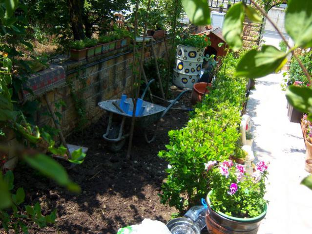 Name:  100_2154.jpg
Views: 413
Size:  67.4 KB