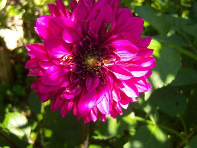 Name:  100_2172.jpg
Views: 455
Size:  42.4 KB