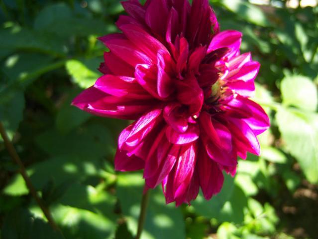 Name:  100_2173.jpg
Views: 424
Size:  38.0 KB