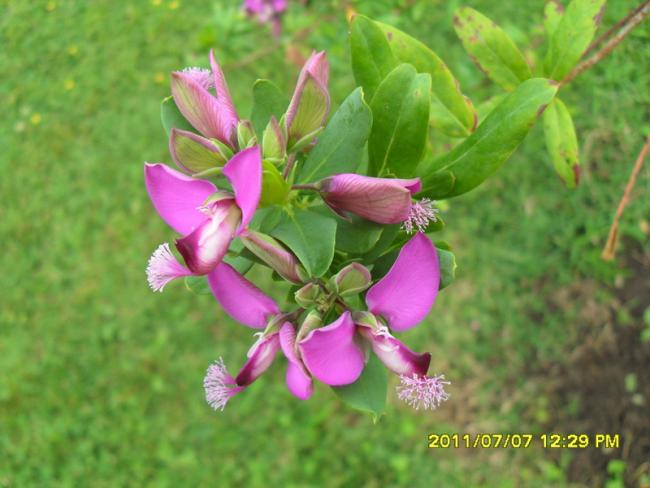 Name:  130.jpg
Views: 761
Size:  42.3 KB
