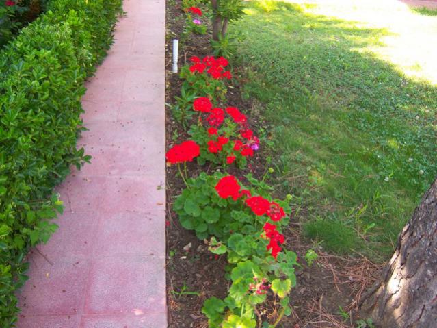 Name:  100_2194.jpg
Views: 472
Size:  63.0 KB