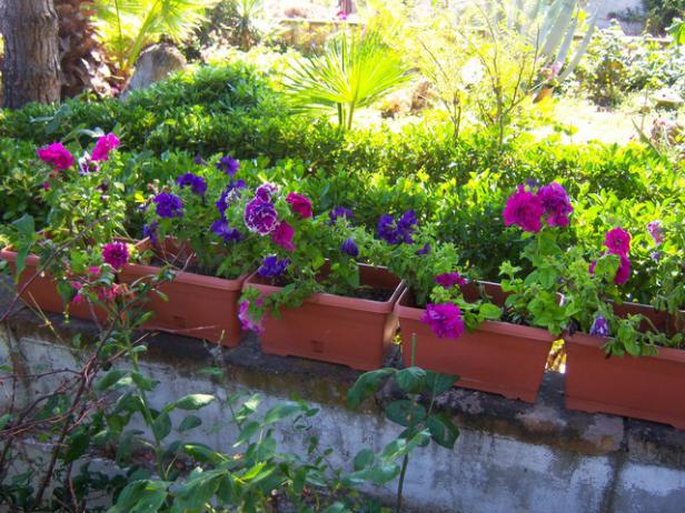 Name:  100_2195.jpg
Views: 474
Size:  71.0 KB