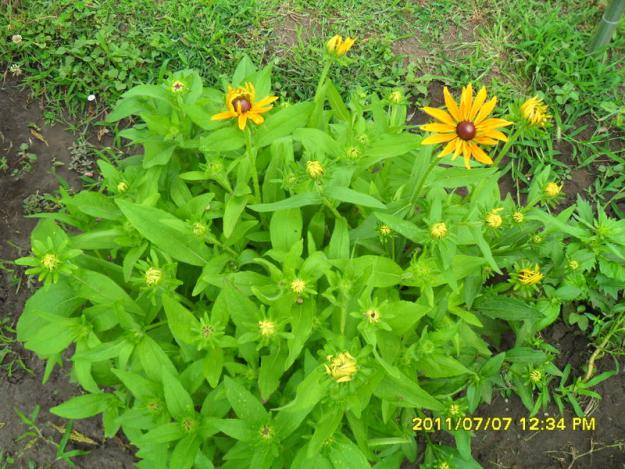 Name:  158.jpg
Views: 736
Size:  71.1 KB
