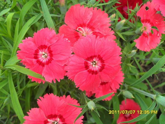 Name:  160.jpg
Views: 713
Size:  51.9 KB