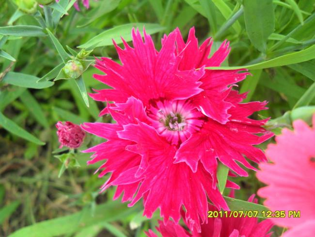 Name:  161.jpg
Views: 716
Size:  50.5 KB
