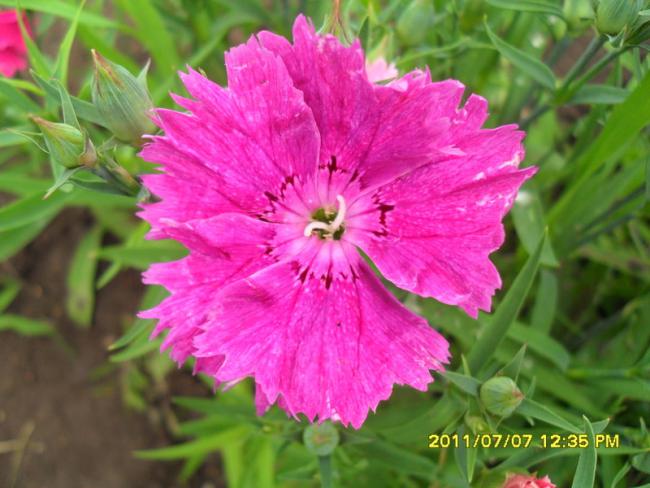 Name:  162.jpg
Views: 759
Size:  48.1 KB