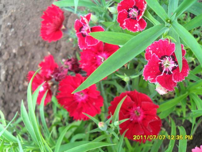 Name:  163.jpg
Views: 703
Size:  55.1 KB