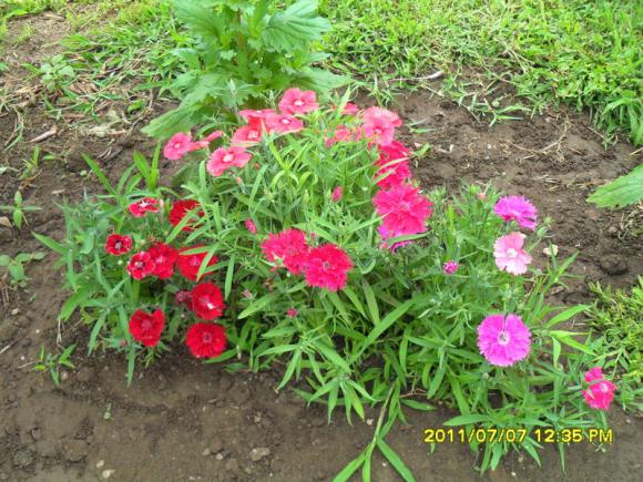 Name:  164.jpg
Views: 707
Size:  72.6 KB