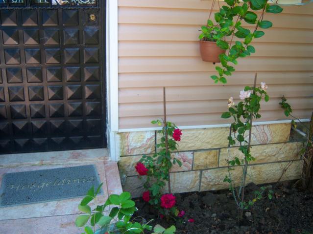 Name:  100_2213.jpg
Views: 478
Size:  47.5 KB