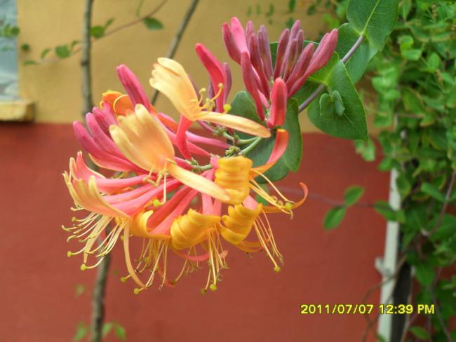 Name:  177.jpg
Views: 724
Size:  40.6 KB