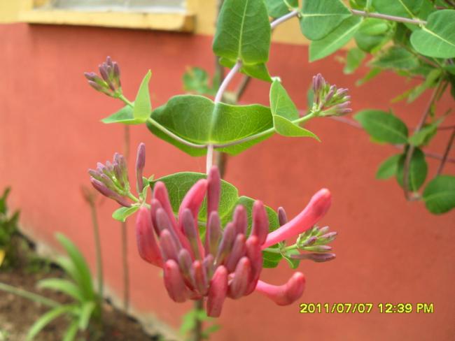 Name:  179.jpg
Views: 707
Size:  33.8 KB