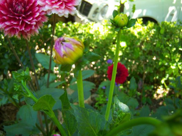 Name:  100_2230.jpg
Views: 448
Size:  49.1 KB