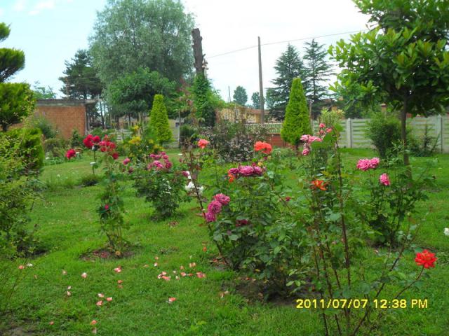 Name:  176.jpg
Views: 736
Size:  69.5 KB