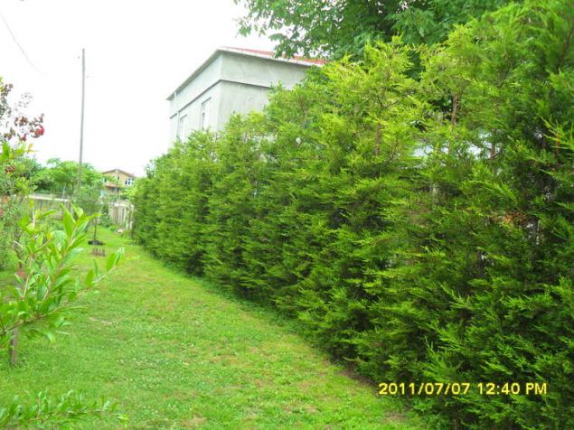 Name:  181.jpg
Views: 825
Size:  70.5 KB