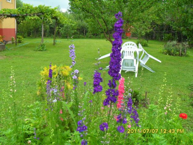 Name:  194.jpg
Views: 717
Size:  70.6 KB