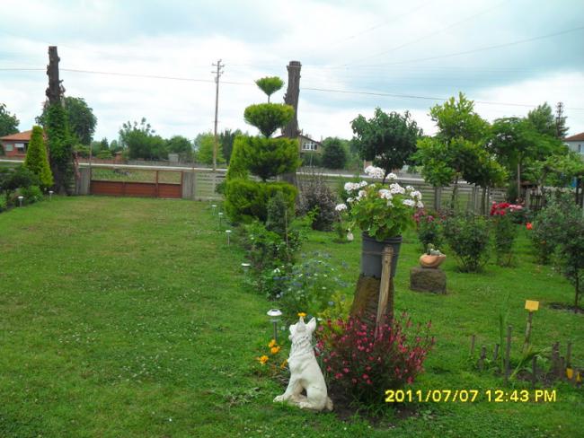 Name:  199.jpg
Views: 677
Size:  55.9 KB
