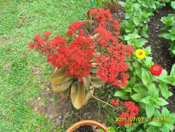 Name:  239.jpg
Views: 739
Size:  72.5 KB