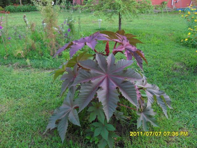 Name:  300.jpg
Views: 698
Size:  69.4 KB