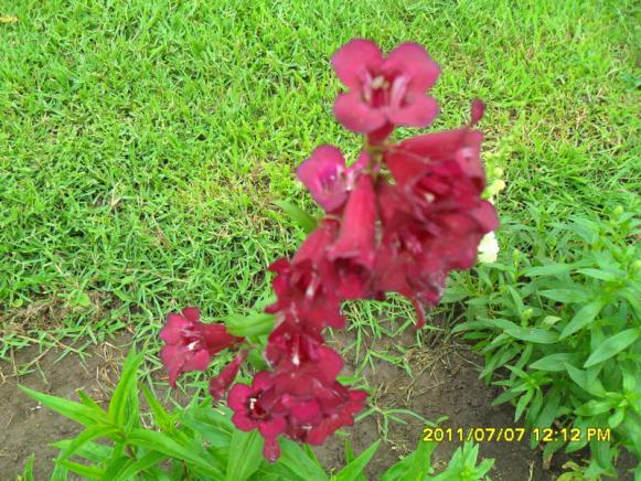 Name:  062.jpg
Views: 644
Size:  72.3 KB