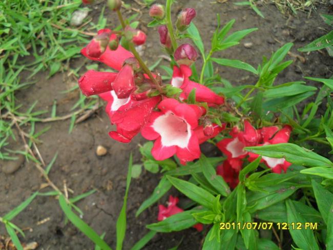 Name:  063.jpg
Views: 656
Size:  54.8 KB