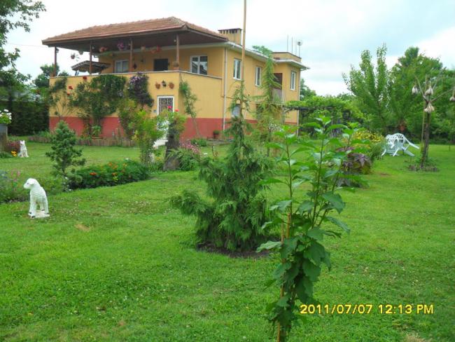 Name:  067.jpg
Views: 794
Size:  63.6 KB