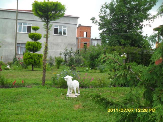 Name:  127.jpg
Views: 792
Size:  64.0 KB