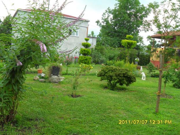 Name:  140.jpg
Views: 791
Size:  70.9 KB