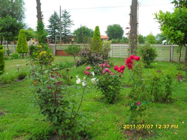 Name:  173.jpg
Views: 669
Size:  70.3 KB