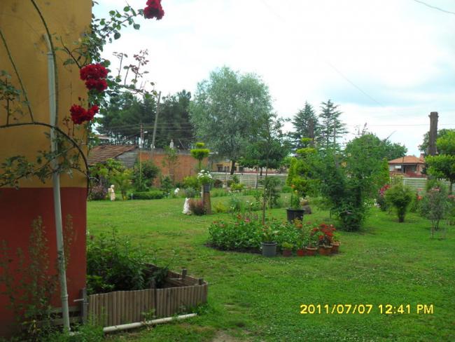 Name:  189.jpg
Views: 627
Size:  54.2 KB