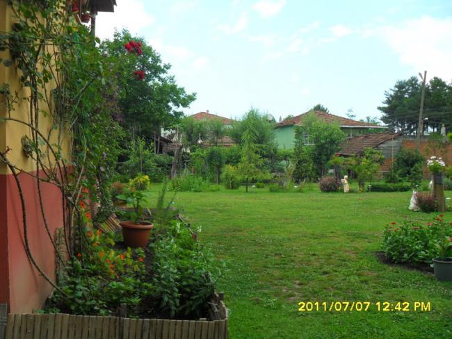 Name:  190.jpg
Views: 669
Size:  57.5 KB