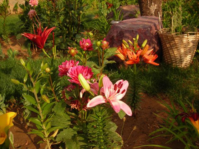 Name:  DSCN5573.jpg
Views: 697
Size:  69.7 KB