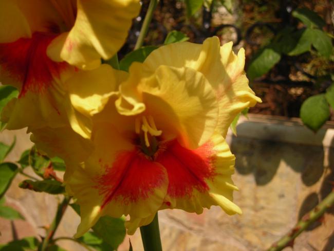 Name:  DSCN5632.jpg
Views: 552
Size:  36.5 KB